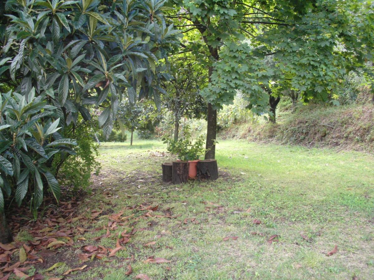 Il Fienile Villa Ripafratta ภายนอก รูปภาพ