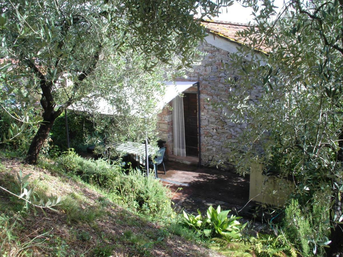 Il Fienile Villa Ripafratta ภายนอก รูปภาพ